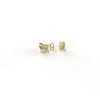 Avarta Jewellery 18K 0.50 Carat Each Princess Cut Unisex Solitaire Studs