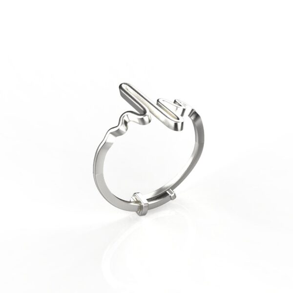 Avarta Sterling Silver Life Line Resizable Ring - Image 4